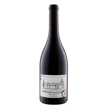 2021 Schloss Salenegg Pinot Noir Molina