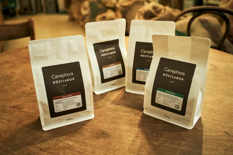 4x Canephora