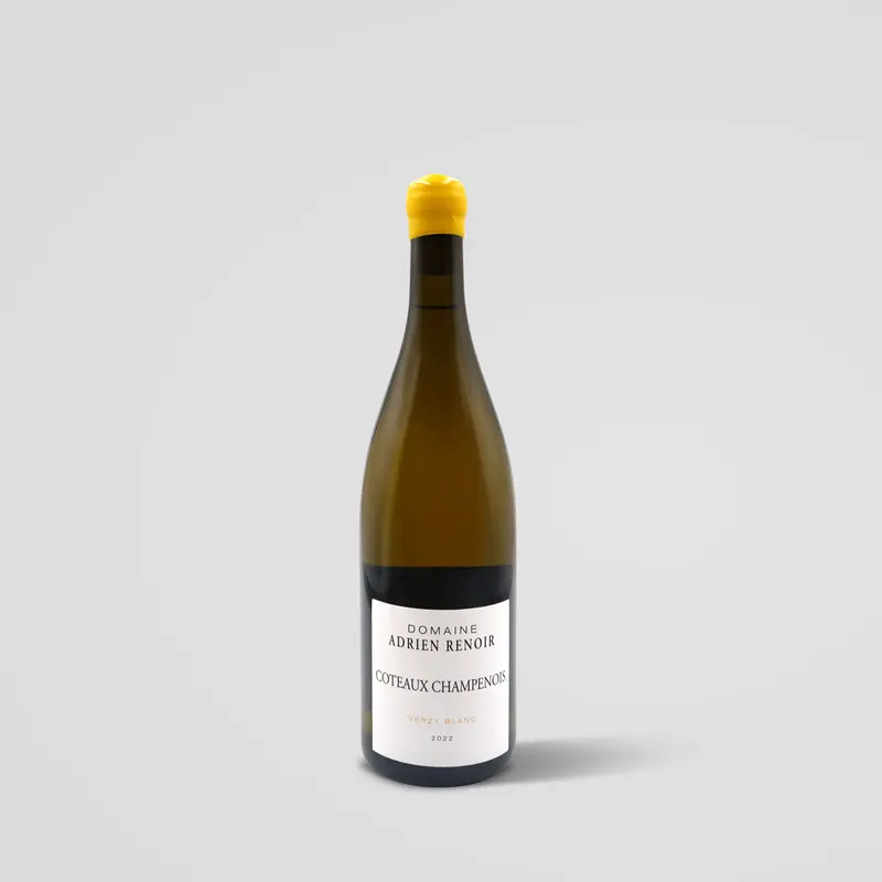 Adrien Renoir Coteaux Champenois Verzy Blanc 2022