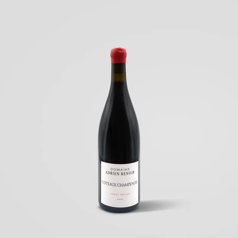 Adrien Renoir Coteaux Champenois Verzy Rouge 22