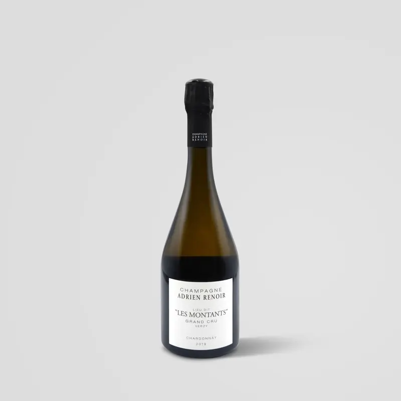 Adrien Renoir "Les Montants" Chardonnay Extra Brut Grand Cru Verzy 2020