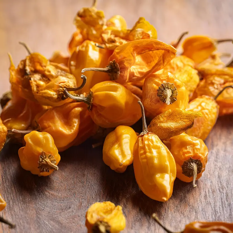 Aji Charapita Chilis | fruchtig, scharf | getrocknet | 10 g
