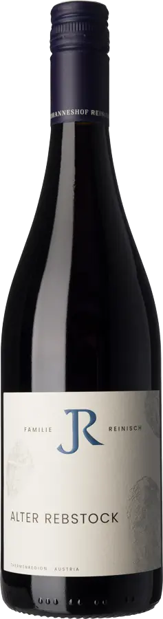 Alter Rebstock 2022
