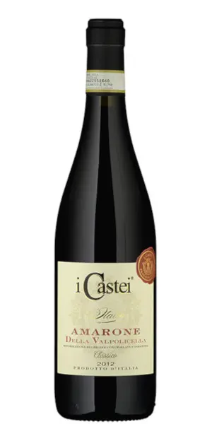 Amarone Classico I Castei 2020 - Michele Castellani (75cl)