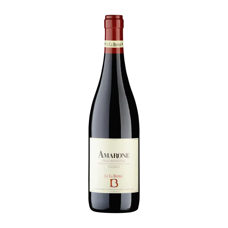 Amarone della Valpolicella classico 2019 DOCG