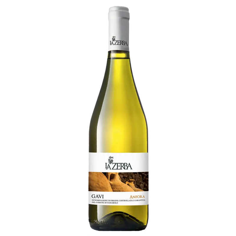 Anfora 2023 Gavi DOCG