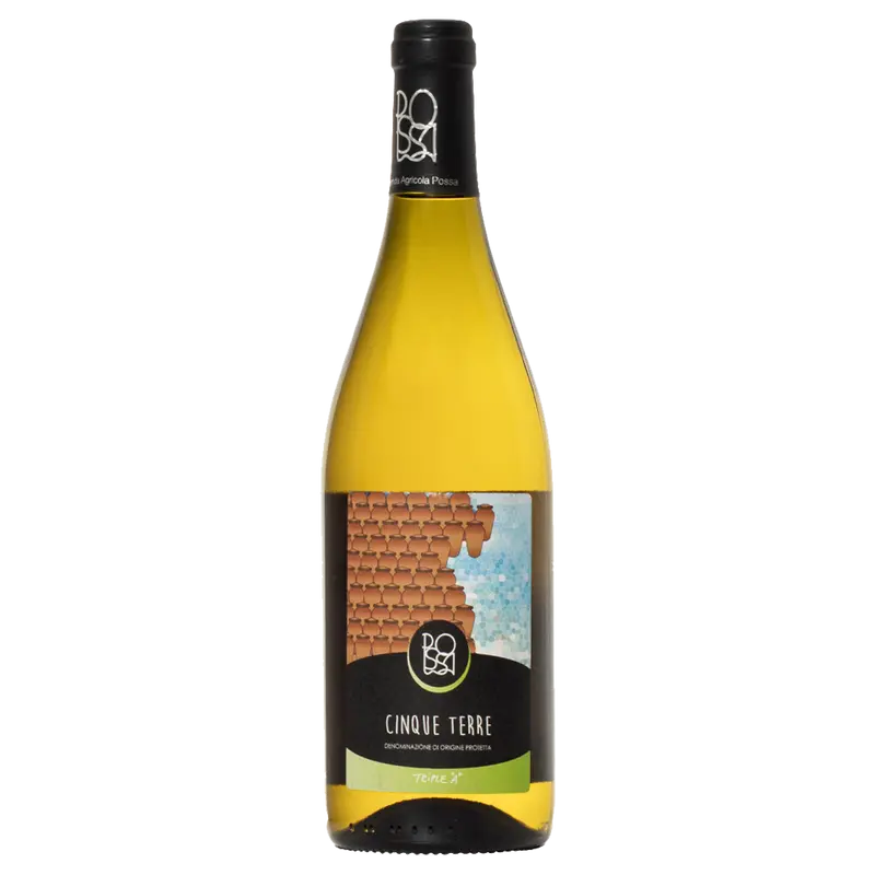 Anfora Cinque Terre bianco 2024 DOC