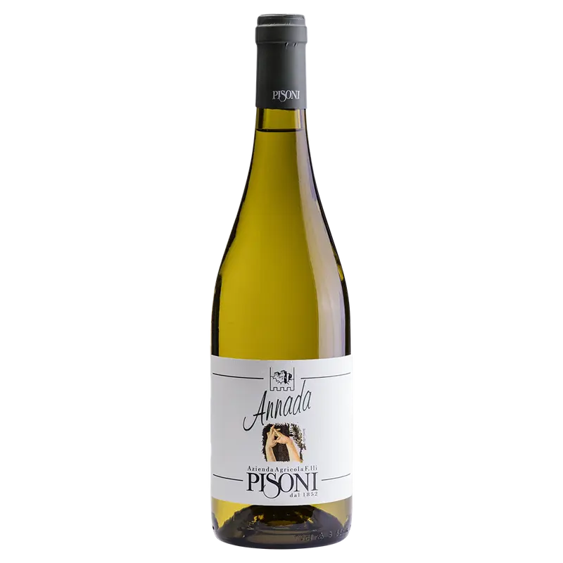 Annada Nosiola 2023 Weinberg Dolomiten igp