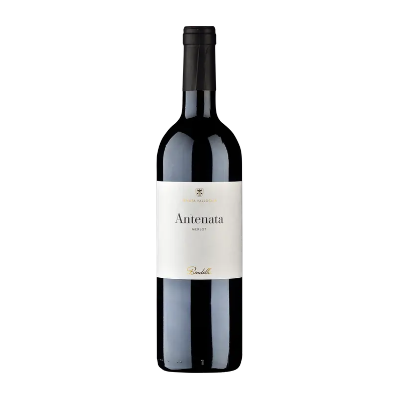 Antenata Merlot 2022 Toscana igt