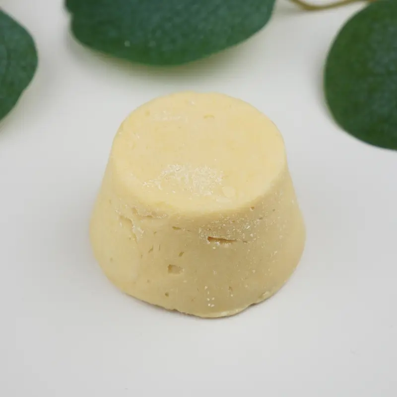 Après-Shampoing solide