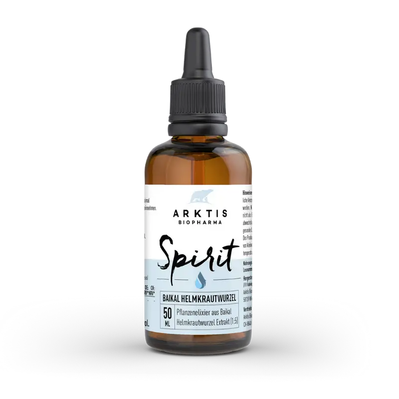 ARKTIS SPIRIT Baikal Helmkrautwurzel