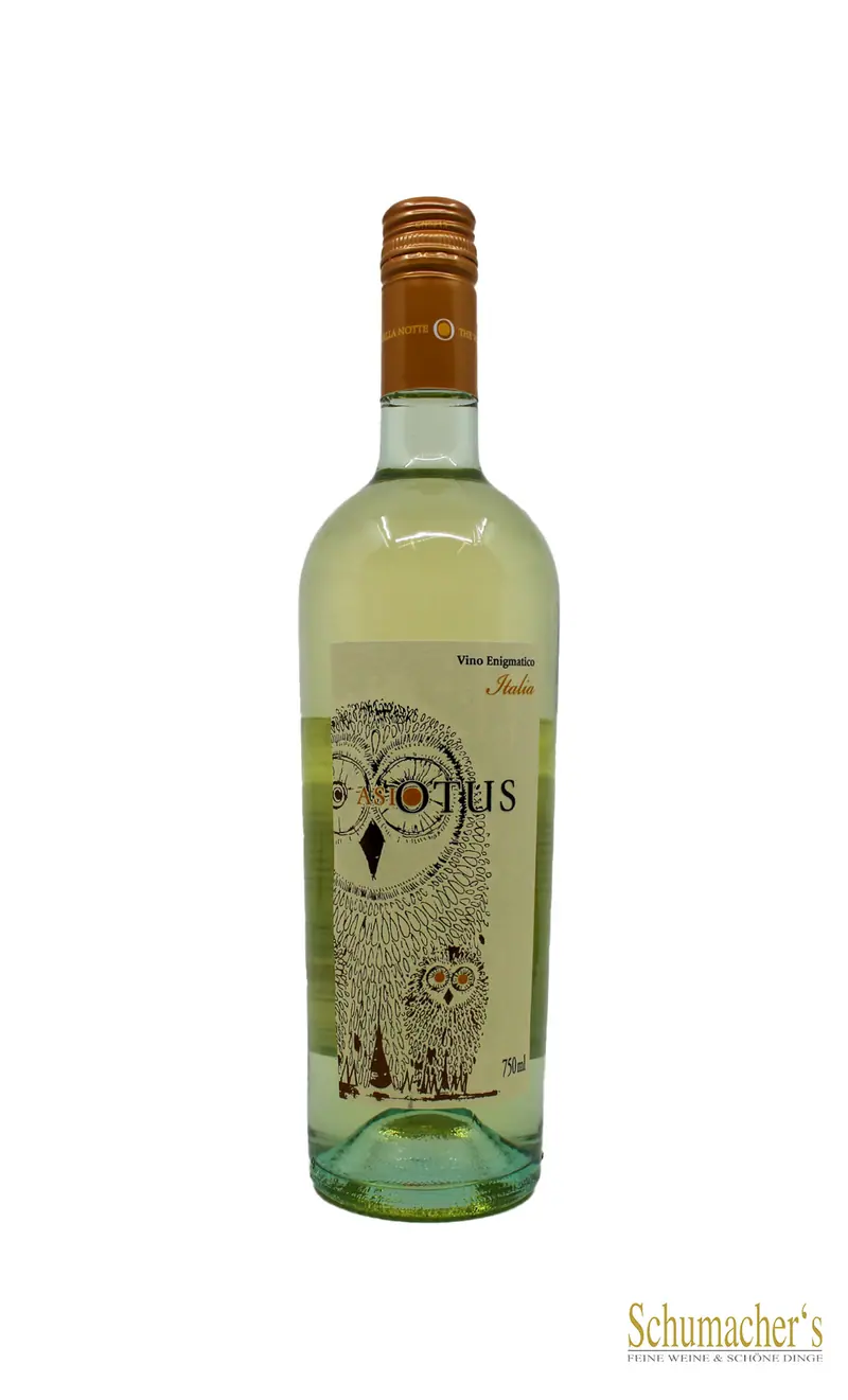 Asio Otus Bianco