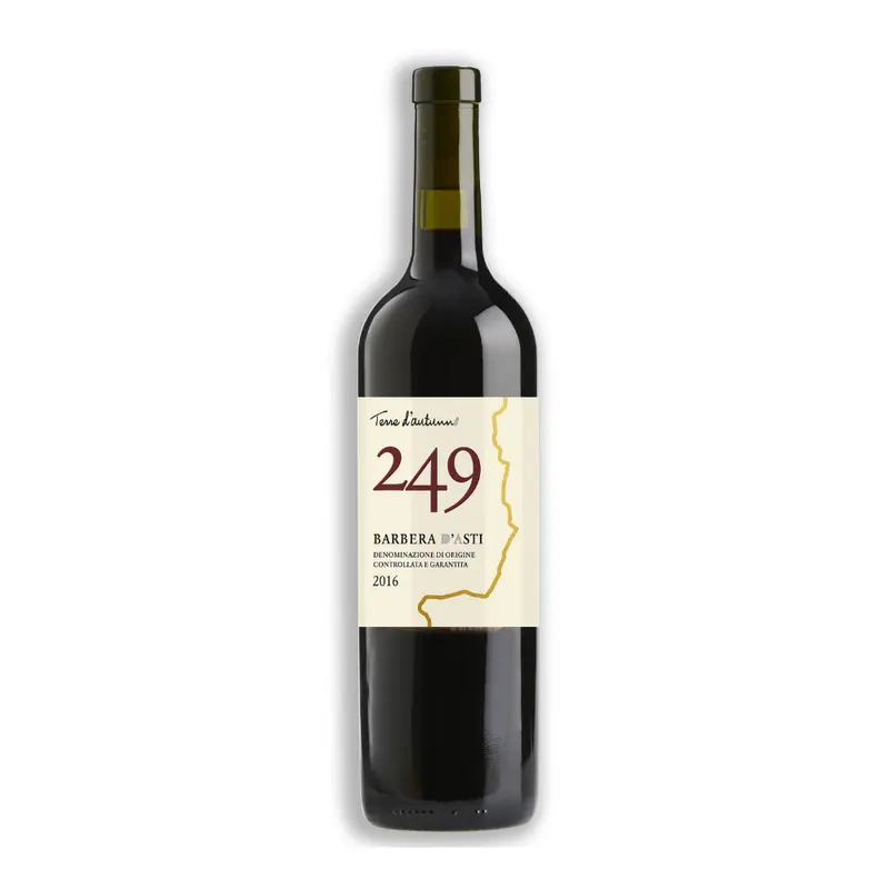 Barbera 249 Nizza DOCG 2020 – Coppo – 0,75 l