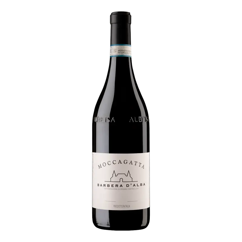 Barbera d'Alba 2022 DOC