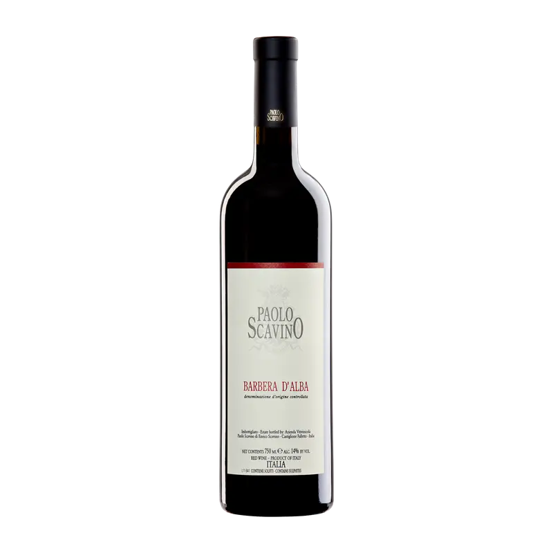 Barbera d'Alba 2022 DOC