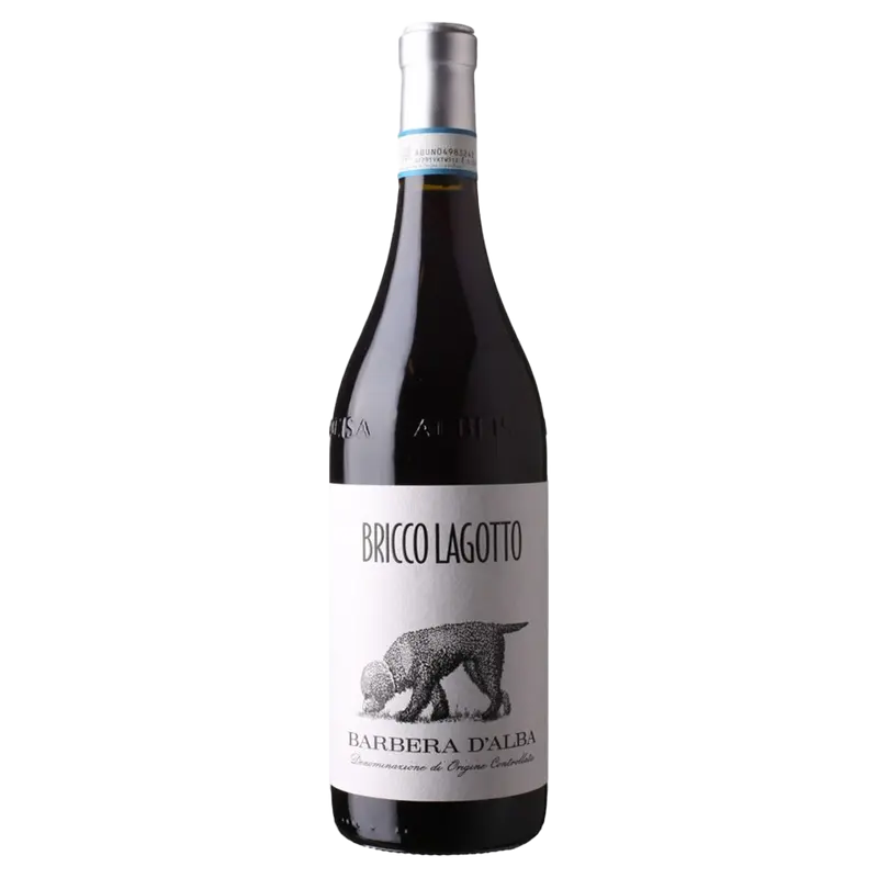 Barbera d'Alba 2023 DOC