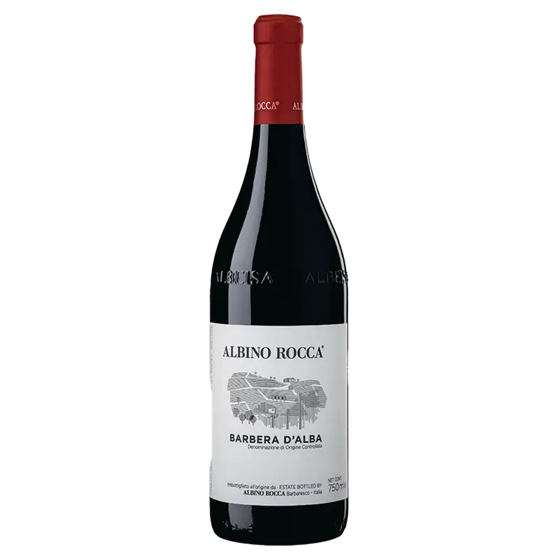 Barbera d‘Alba 2023 DOC