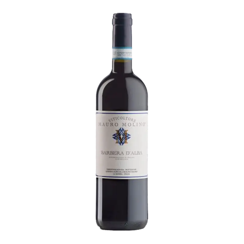 Barbera d‘Alba 2023 DOC