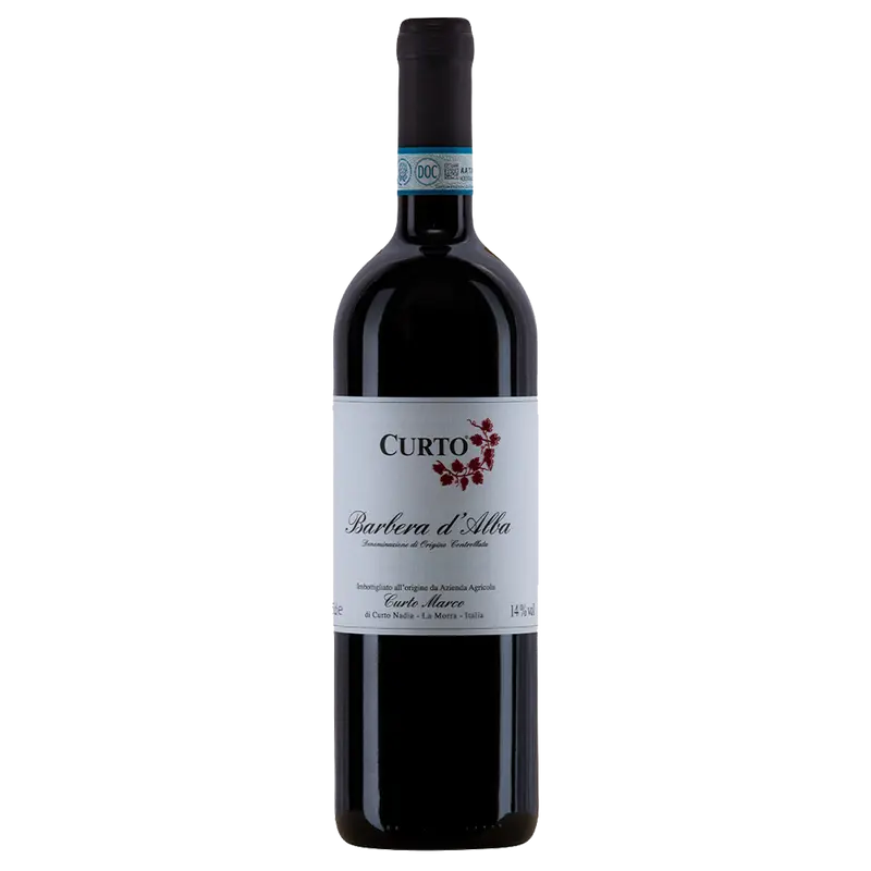 Barbera d'Alba 2023 DOC