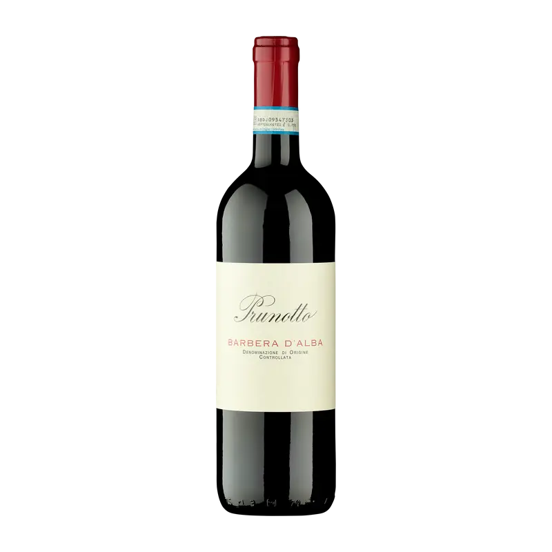 Barbera d'Alba 2024 DOC