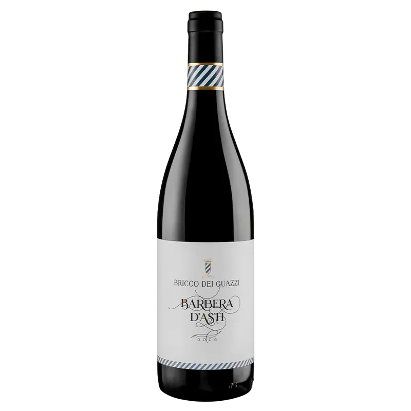 Barbera d'Asti 2021 DOC