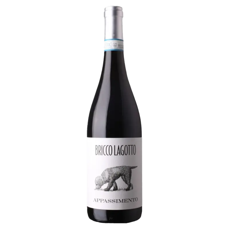 Barbera passito 2023 DOC