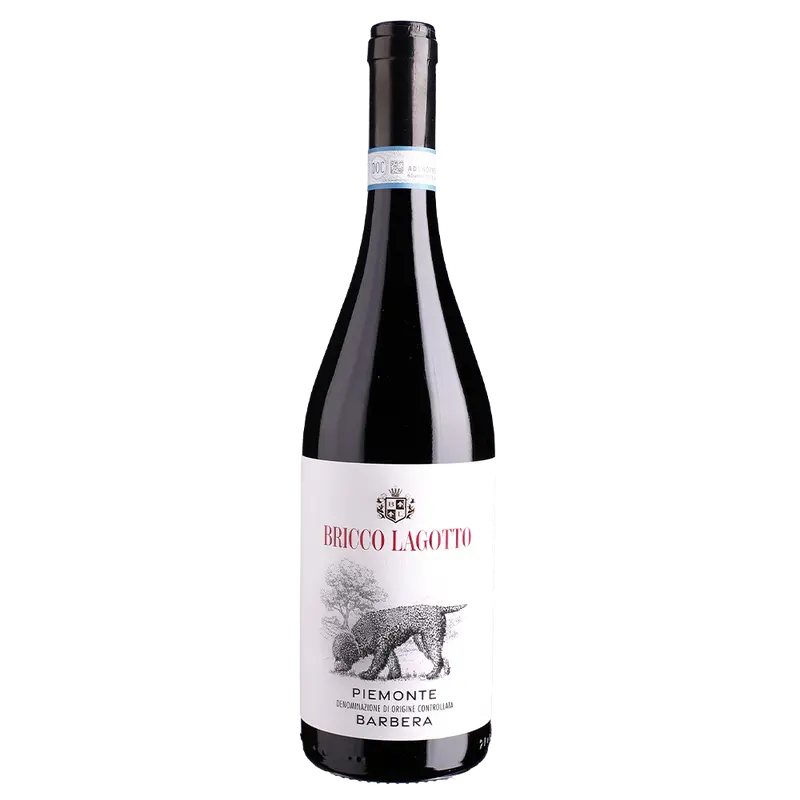 Barbera Piemonte 2023 DOC