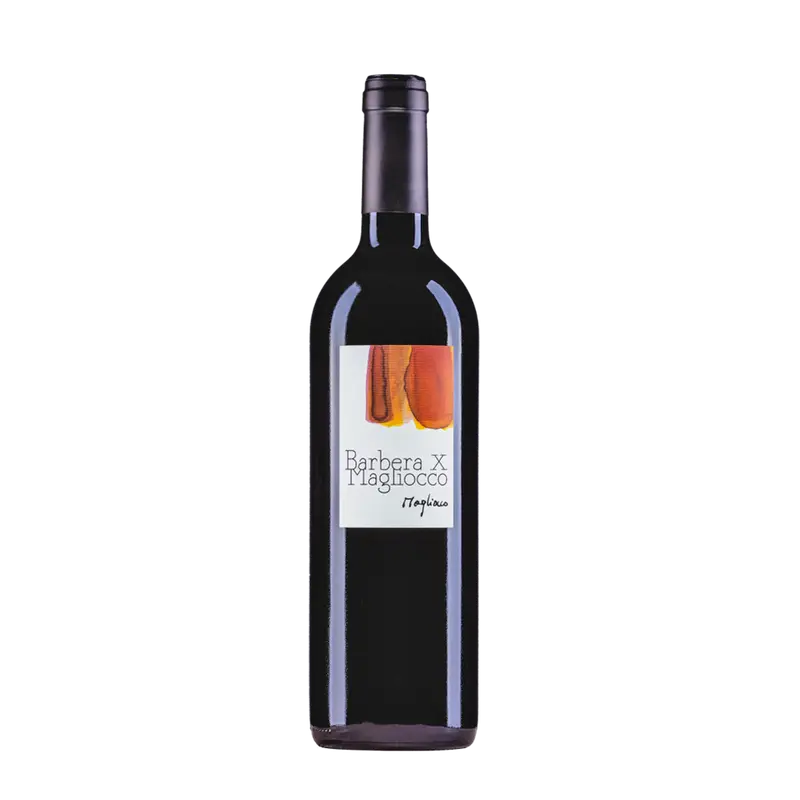 Barbera X Magliocco Vin rouge Suisse Magliocco