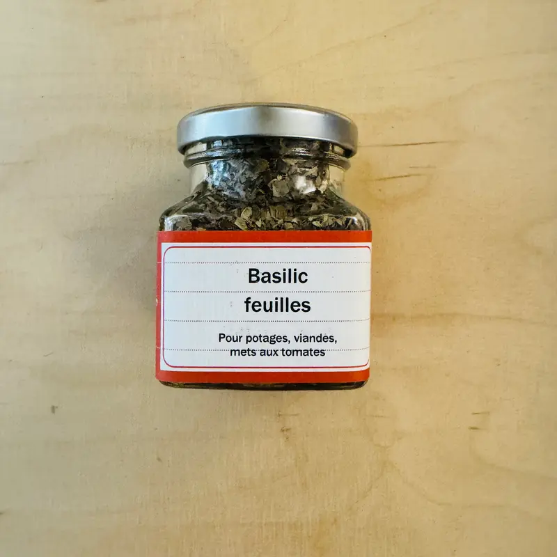 Basilic feuilles