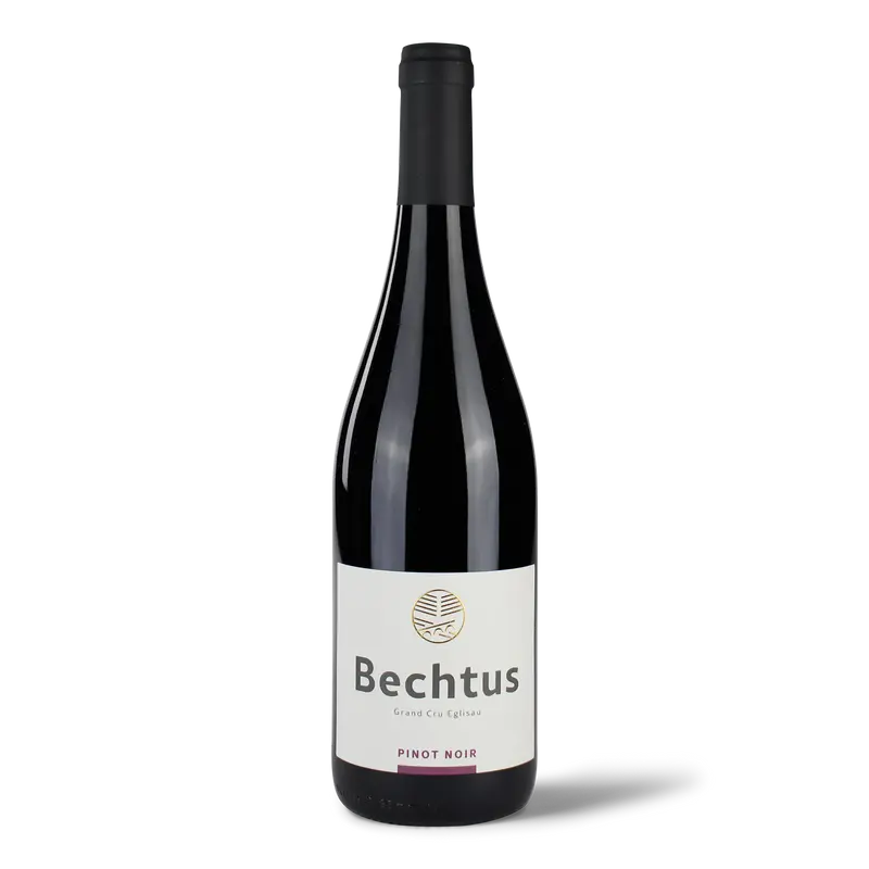 Bechtus Pinot Noir 2022 AOC Zürich