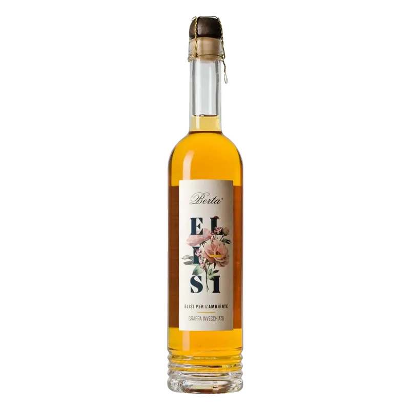 Berta Grappa Elisi
