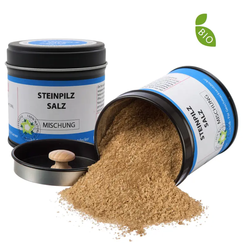 Bio Steinpilzsalz