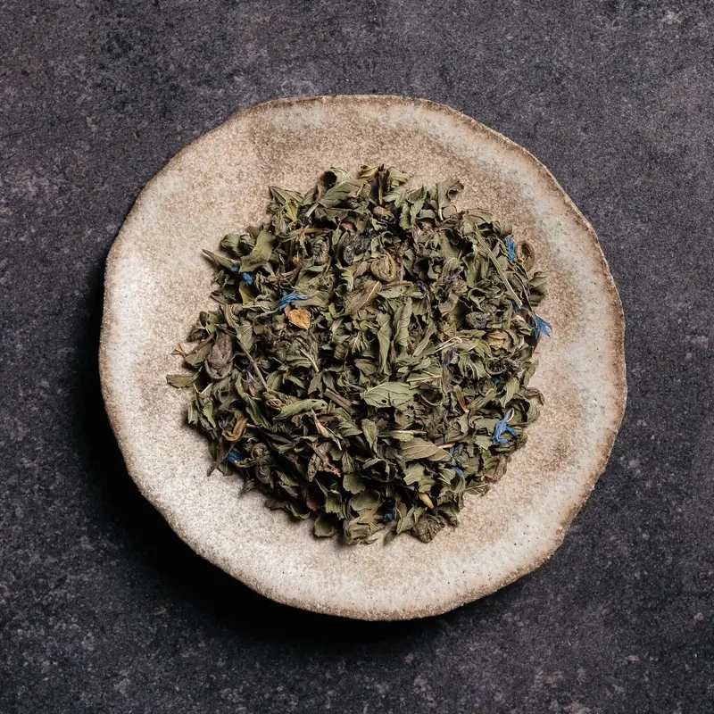 Bio-Tee - Magnetic Mint