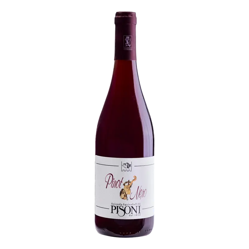 Blauburgunder 2022 Weinberg Dolomiten igp