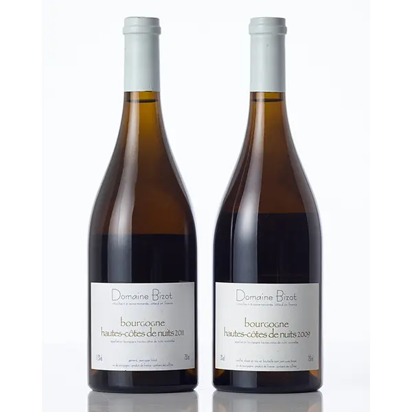Bourgogne Hautes Cotes de Nuits Blanc - Jean Yves Bizot 2011