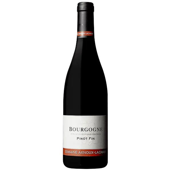 Bourgogne Pinot Fin - Domaine Arnoux Lachaux 2019