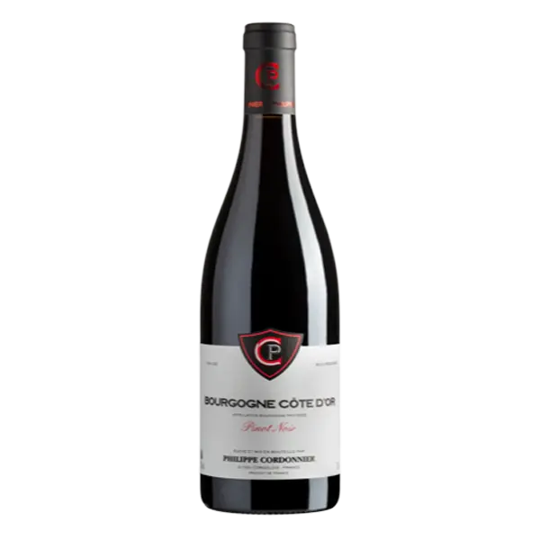 Bourgogne Pinot Noir - Domaine Philippe Cordonnier 2020 Magnum