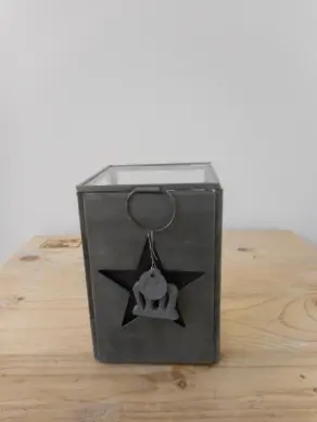 Box mit Stern H 10cm