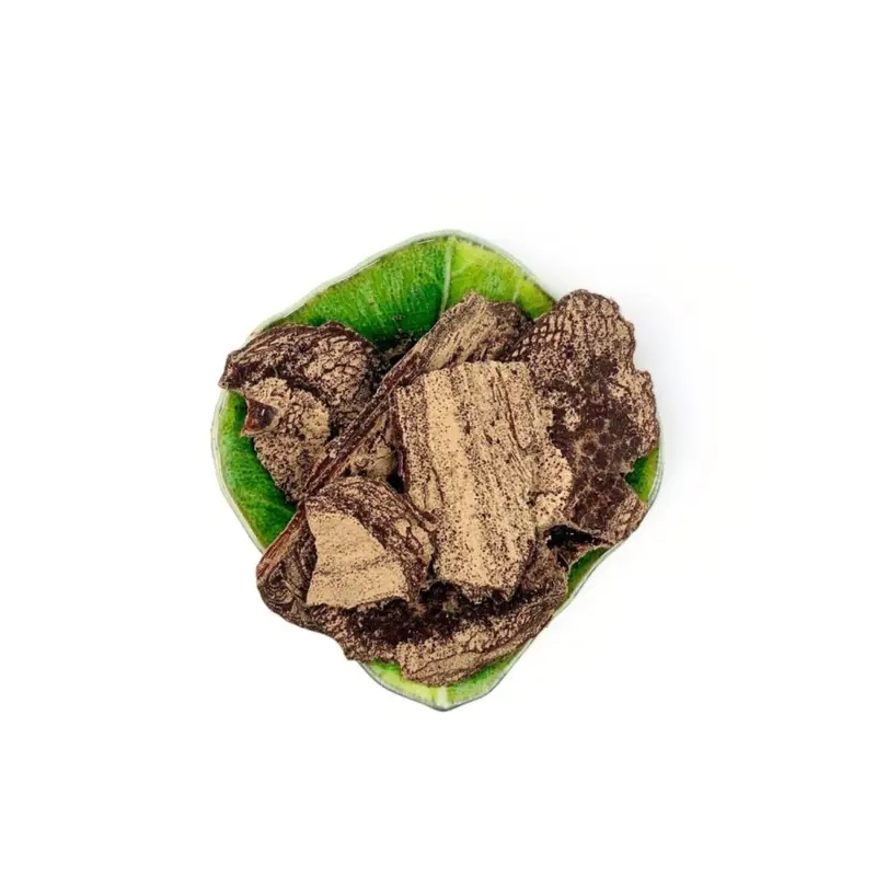 Brésil, cacao de cérémonie sauvage Rio Tocantins