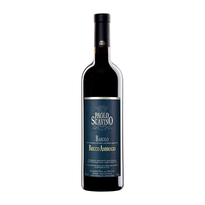 Bricco Ambrogio Barolo 2020 DOCG