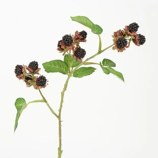 Brombeerzweig L78cm