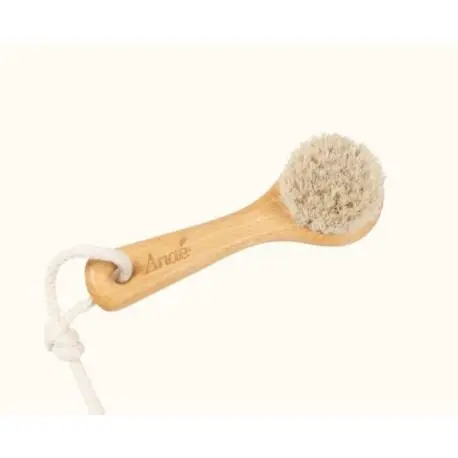 Brosse visage