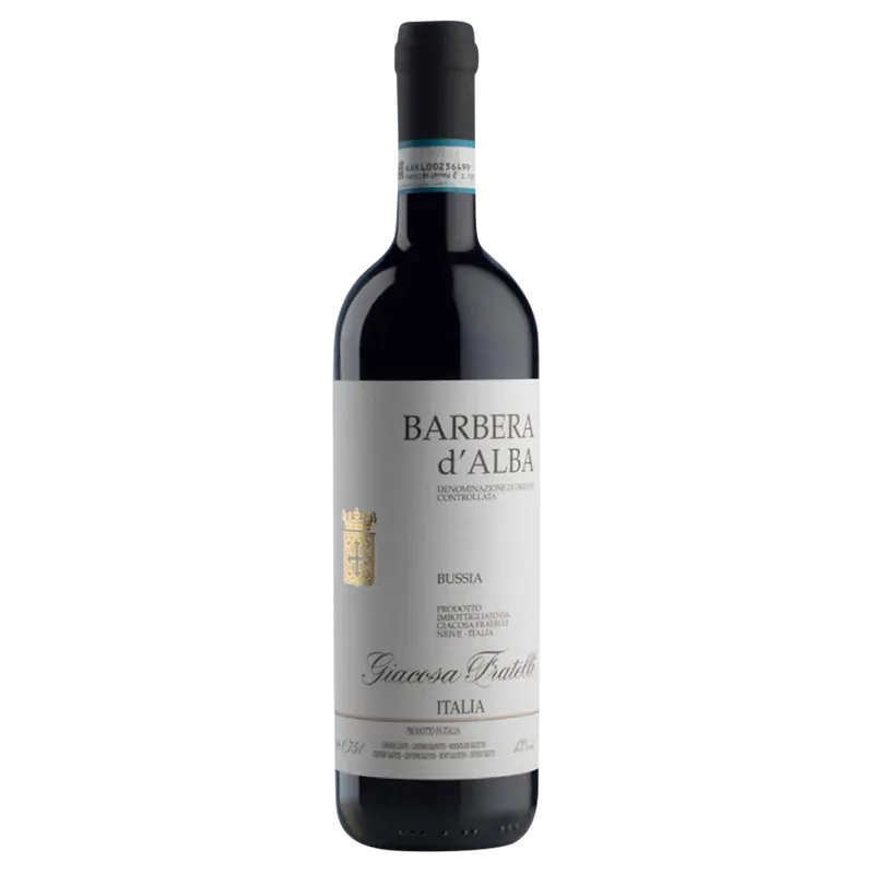Bussia Barbera d'Alba 2023 DOC