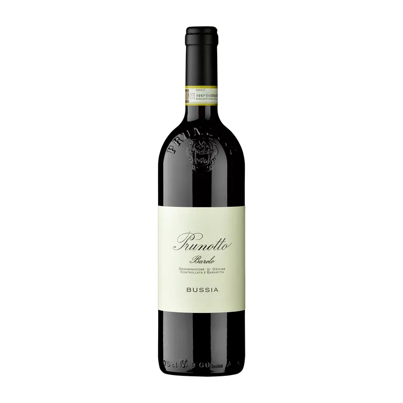 Bussia Barolo 2020 DOCG
