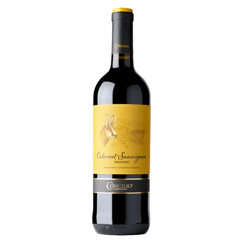 Cabernet Sauvignon 2021 Trentino DOC