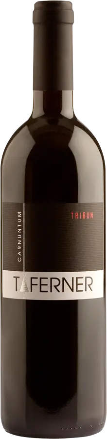 Cabernet Sauvignon Tribun 2021