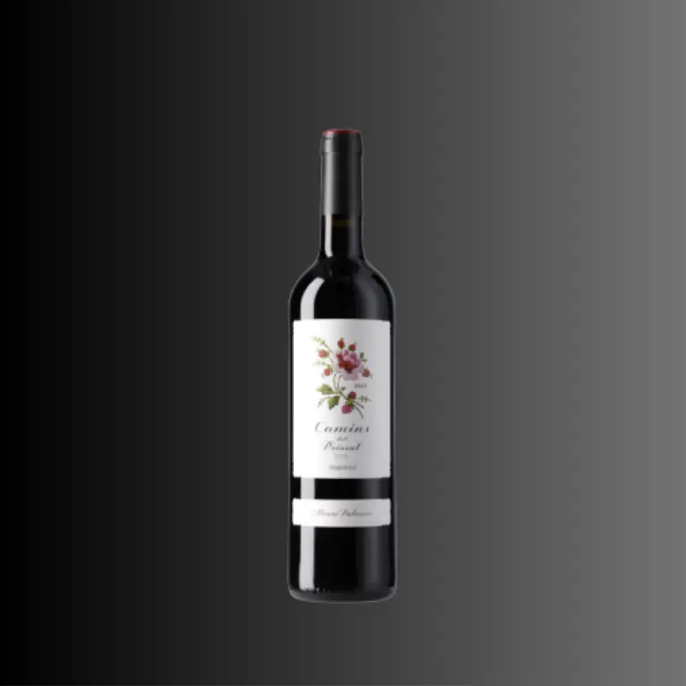 Camins del Priorat 2023 | Spanien | 75cl | 3 oder 6 Flaschen