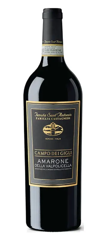 Campo dei Gigli Amarone della Valpolicella DOCG 2016 - Tenuta Sant Antonio
