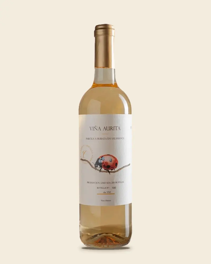 Carlos Carballo - Viña Aurita Blanco (2021)