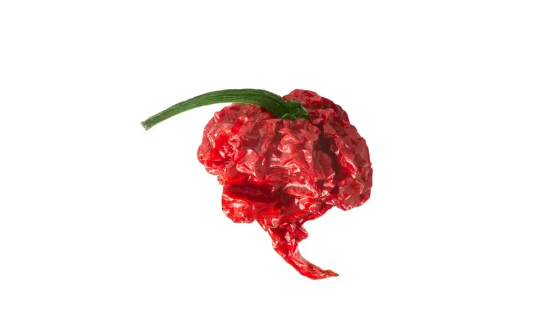 Carolina Reaper Chili (geschrotet)